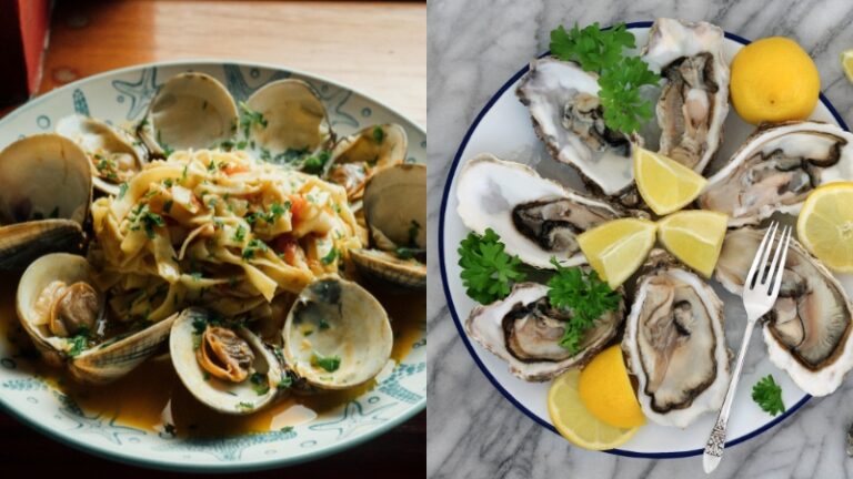 Clams vs Oysters – Which One Deserves a Spot on Your Plate? - New York