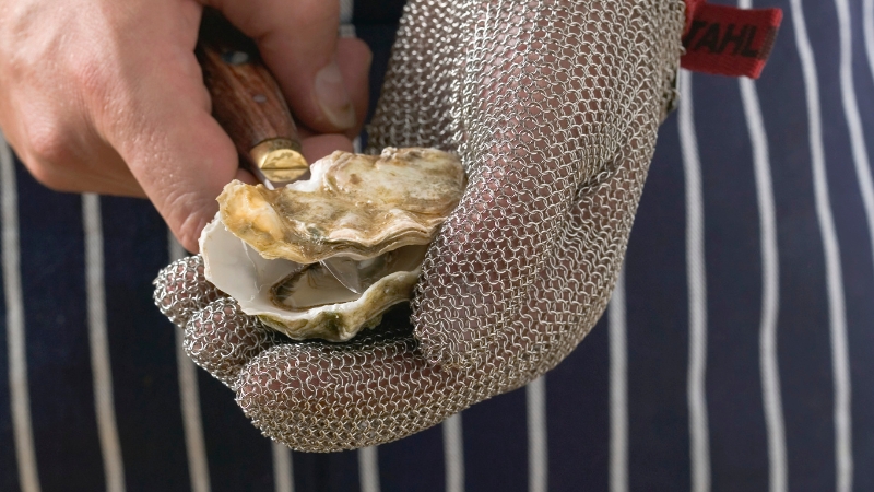 A person wearing a protective glove holds an oyster while using a shucking knife