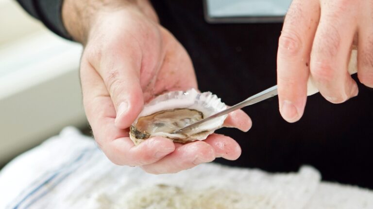 A person uses an oyster knife to carefully shuck an oyster by hand