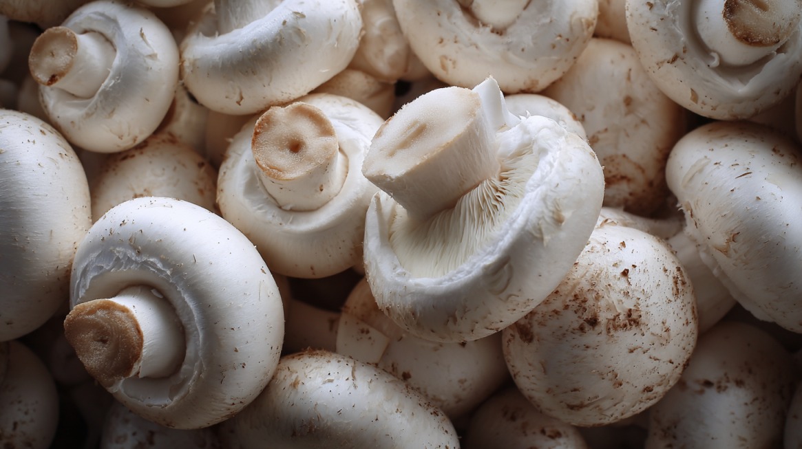 Close-up of a pile of fresh white button mushrooms with stems and caps visible